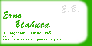 erno blahuta business card